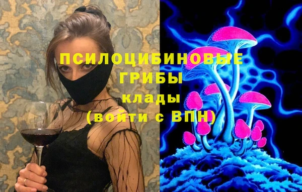 ПСИЛОЦИБИНОВЫЕ ГРИБЫ Армянск