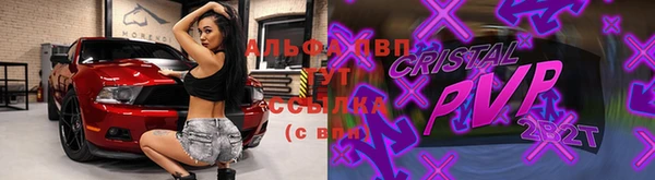 винт Аркадак