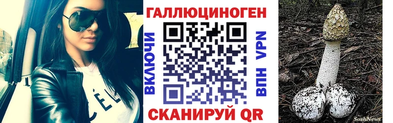 Псилоцибиновые грибы GOLDEN TEACHER  хочу   kraken зеркало  Мегион 